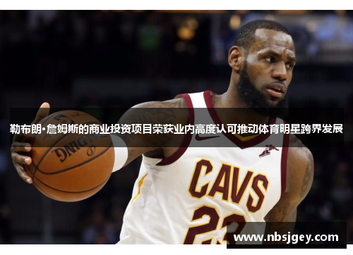 勒布朗·詹姆斯的商业投资项目荣获业内高度认可推动体育明星跨界发展